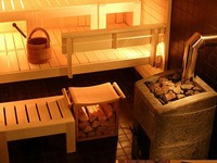 Печь для русской бани